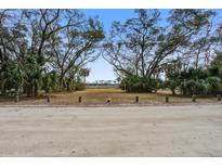 Scenic beach access point with mature trees and sandy path to the shore at 7759 Edingsville Beach Rd, Edisto Island, SC 29438