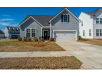 Charming gray two-story home featuring an attached garage and professionally landscaped front yard at 317 Catawba Branch Way, Moncks Corner, SC 29461