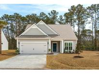 Charming single-Gathering home featuring a two-car garage, gray siding and a meticulously manicured front yard at 4045 Oxeye Loop, Johns Island, SC 29455