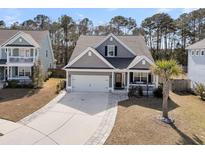 Charming gray two-story home with a well-manicured lawn and a welcoming front porch at 225 Waning Way, Charleston, SC 29492