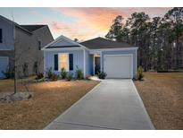 Charming single-story home featuring light blue siding, a one-car garage, and a concrete driveway at 229 Coral Sunset Way, Summerville, SC 29486