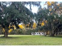 Charming single-story home with a spacious front yard and mature trees draped in Spanish moss at 5355 Old Military Rd, Adams Run, SC 29426