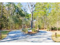 Community entrance with signage surrounded by mature trees and lush landscaping at 1717 Vireo Ct, Johns Island, SC 29455