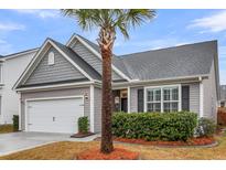 Charming home featuring gray siding, manicured landscaping and a two-car garage at 139 Ancestry Ln, Moncks Corner, SC 29461