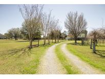 Gravel driveway lined by manicured lawn and scattered trees leading up to the residence at 16 Baldwin Ln, Green Pond, SC 29446