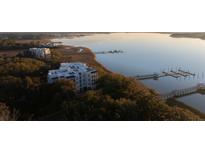 Beautiful waterfront condo building surrounded by lush greenery and private dock at 108 Fairbanks Oak Aly # 302, Daniel Island, SC 29492
