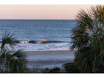 Picturesque beach scene with gentle waves and lush palm trees creating a serene and inviting atmosphere at 19 Grand Pavilion Blvd, Isle of Palms, SC 29451