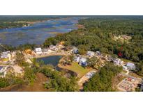 Stunning aerial view of the community showcasing waterfront access and community pond at 3853 Delinger Dr, Mount Pleasant, SC 29466