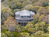 Beautiful exterior view of multi-story beach house surrounded by lush greenery and mature trees at 263 Pelican Flight Dr, 15.4% Share, Dewees Island, SC 29451