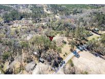 Aerial view of a wooded lot, offering privacy and a serene natural setting at 328 Fox Field Rd, Walterboro, SC 29488