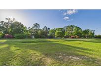 A spacious grassy lawn with trees along the border on a sunny day at 1086 Arrowhead Rd, Saint Stephen, SC 29479
