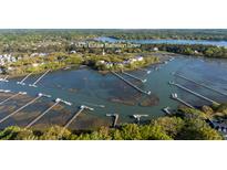 Stunning aerial view of waterfront property with private docks and lush green surroundings on Eutaw Battalion Drive at 1470 Eutaw Battalion Dr, Charleston, SC 29412