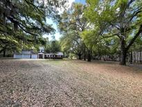 Spacious front yard with mature trees and lush landscaping surrounding a charming brick home at 8392 Herbert Smalls Rd, Edisto Island, SC 29438