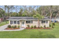 Charming home with a well-manicured front yard and a beautiful, mature palm tree at 1239 Old Orchard Rd, Charleston, SC 29412