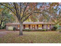 Charming brick ranch-style home featuring a well-maintained lawn and mature tree at 7 Andrea Ct, Hanahan, SC 29410