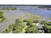 Stunning aerial view of waterfront property with private docks and lush greenery at 146 Rivers Edge Way, Wando, SC 29492