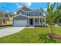 Two-story home featuring a gray exterior, well-maintained lawn, and a concrete driveway leading to an attached garage at 389 Wappoo Trace Ln, Summerville, SC 29486
