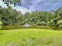 Scenic view of a tranquil pond surrounded by lush trees and a well-manicured lawn at 4114 Babbitt St, Charleston, SC 29414