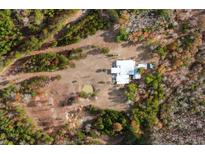 An aerial view of the home, surrounded by trees and a dirt road leading to the property at 280 Royalegates Ct, Cross, SC 29436