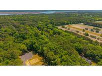 Expansive aerial view of a beautiful wooded lot outlined in yellow, surrounded by lush greenery at 2234 River Rd, Johns Island, SC 29455