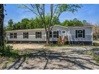 Single-story home boasts gray siding, black shutters, and a well-manicured front yard at 317 Marion Rd, Dorchester, SC 29437