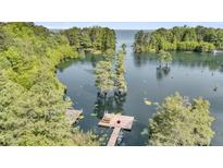 Aerial view of a private dock on the lake, featuring a wooden platform with a picnic table and canoe at 107 Jacks Ln, Bonneau, SC 29431