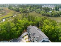 Scenic aerial view of townhomes backing up to a marsh with mature trees, offering privacy and natural beauty at 148 Cowrie Ct, Mount Pleasant, SC 29464