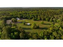 Expansive horse property featuring paddocks, stables and a barn nestled among mature trees at 5348 Mccullough Dam Rd, Wadmalaw Island, SC 29487