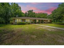 Charming brick home with mature trees, lush landscaping and a spacious yard at 1655 Pinckney Park Dr, Charleston, SC 29407