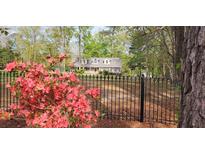 Picturesque home with beautiful landscaping and a black fence, blending elegance with natural charm for an inviting curb appeal at 206 Chaussee Blvd, Summerville, SC 29483