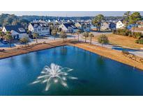 Scenic aerial view of a neighborhood pond with a water fountain feature in a residential community at 3278 Great Egret Dr, Johns Island, SC 29455
