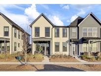 Charming townhome showcasing a well-maintained front yard and inviting curb appeal with a modern craftsman style at 157 Pocket Bend Cir, Summerville, SC 29486