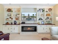 Cozy living room featuring a fireplace, built-in shelving, and a large television at 199 Meadow Wood Rd, Summerville, SC 29486