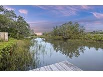 Picturesque waterfront view with lush vegetation, featuring a private dock and tranquil waterway at 1673 Mcclain St, Charleston, SC 29407