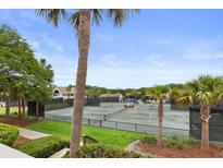 Scenic view of well-maintained tennis courts surrounded by lush greenery and palm trees, offering a vibrant recreational setting at 1627 Live Oak Park, Seabrook Island, SC 29455