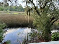 Gorgeous backyard view of saltwater marsh with mature trees draped in Spanish moss at 1050 Marsh Court Ln, Mount Pleasant, SC 29464