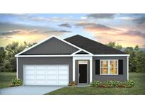 Charming single-story home with gray siding, white trim, manicured lawn and an attached two-car garage at 6007 Savy Ct, Ravenel, SC 29470