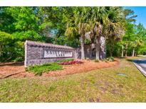 Brick signage for Saint Johns Lake community enhanced by palm trees and manicured flowerbeds at 6972 Pumpkinseed Dr, Johns Island, SC 29455