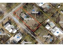 This aerial view showcases a property with clearly marked boundary lines in a residential neighborhood at 647 Ellis St, Mount Pleasant, SC 29464