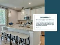 Stylish kitchen features counter seating with modern stools and great lighting but has disclaimer text at 3031 Robeson Trce, Johns Island, SC 29455