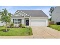 Charming single-story home with a well-manicured lawn and a two car garage at 266 Torslanda Ln, Summerville, SC 29486