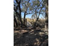 Scenic boardwalk view surrounded by lush trees and foliage with a glimpse of the marsh in the distance at 2026 Sea Water Dr, Charleston, SC 29412