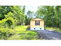 Cozy single-story home featuring light siding, a simple porch, and a shingled roof, nestled in a verdant, wooded setting at 149 Old Red Hill Rd, Ridgeville, SC 29472