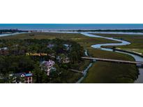 Expansive aerial view showcases 79 Trailing Vine, surrounding marshland, bridges, and the ocean in the distance at 79 Trailing Vine Way, Kiawah Island, SC 29455