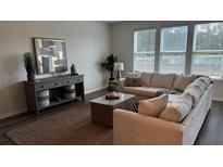 Inviting living room featuring a comfortable sofa, console table and decor, and scenic view through large windows at 316 Beachgrass Ln, Summerville, SC 29486