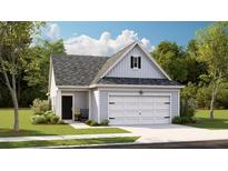 Charming single-story home with a gray exterior, attached garage, and well-manicured lawn at 193 Norse Bay, Summerville, SC 29486