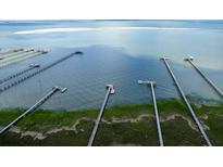 Stunning aerial view showcasing multiple private docks extending into the waterway, perfect for boating enthusiasts at 320 Morrison Street, Mount Pleasant, SC 29464