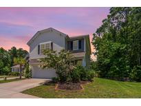 Charming two-story home with a well-maintained lawn and landscaping at 3745 Sawmill Ct, Mount Pleasant, SC 29429