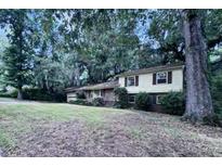 Traditional home exterior featuring a large front yard and mature trees at 321 Fairington Dr, Summerville, SC 29485