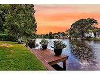 A waterfront view from a wooden dock with potted flowers overlooking the lake at 721 Lake Frances Dr, Charleston, SC 29412